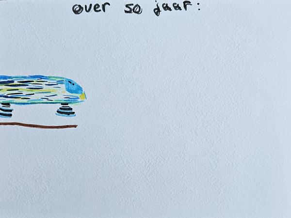 tekening