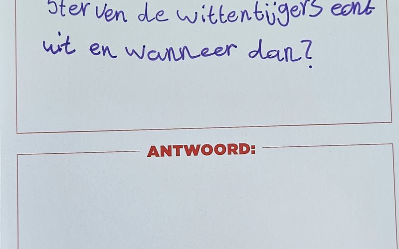 Sterven de witte tijgers echt uit en wanneer dan?