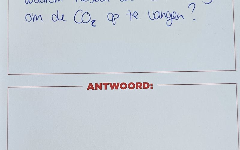 Waarom hebben we bomen nodig om CO2 op te vangen?