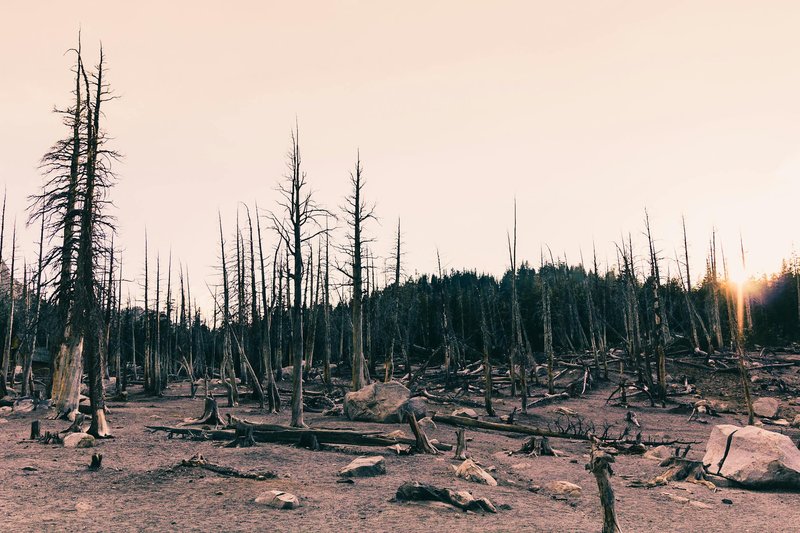 pexels-photo-2872917